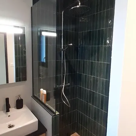 Apartment La Griotte - Confort - Lyon - *